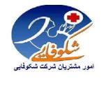 نگهداری ازکودک,سالمند,امورمنزل در شیراز
