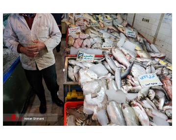 فروش ماهی خوراکی در تهران