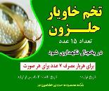 فروش حلزون اسکارگو در کرمان